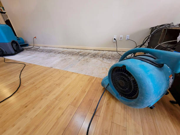 Professional Structural Drying technician working in Tiger, GA
